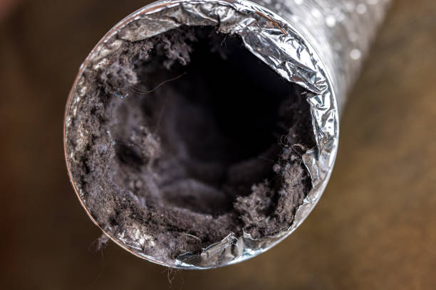 Best HVAC Maintenance and Cleaning  in , NV