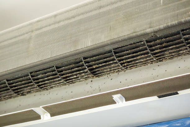 Best Affordable Air Duct Cleaning  in , NV