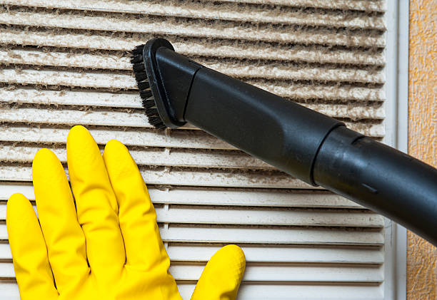 Best Residential Air Duct Cleaning  in , NV